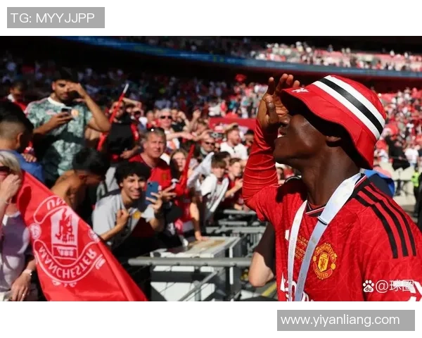 足球明星队徽全景展示与背后故事解析